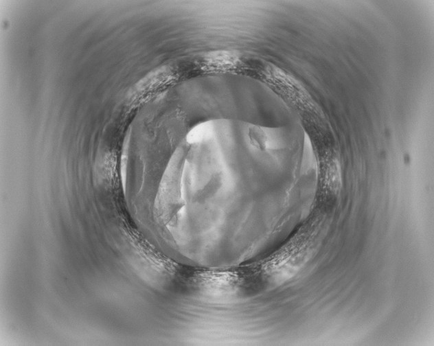 X0000087630711200705181500