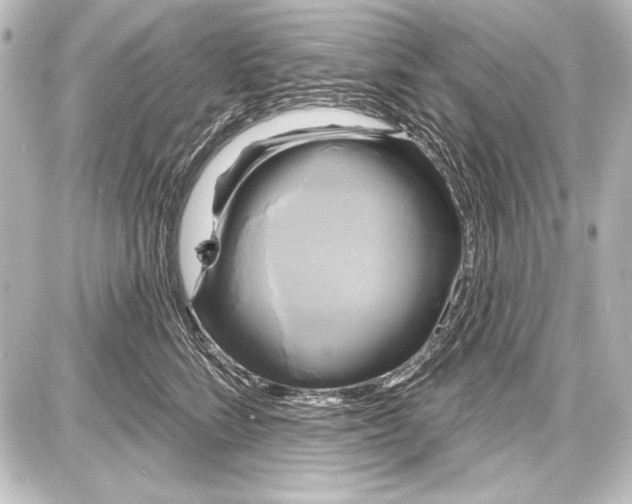 X0000087630712200705181500