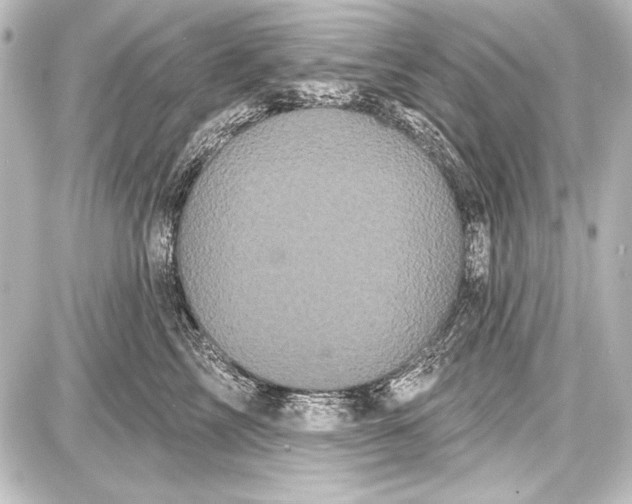 X0000087630713200705181500