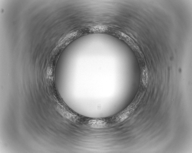 X0000087630714200705181500