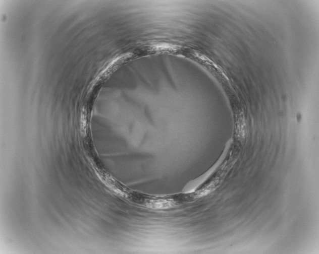 X0000087630716200705181500