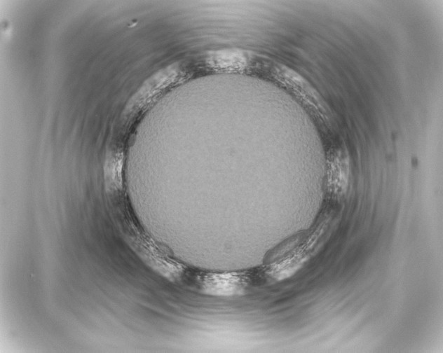 X0000087630717200705181500