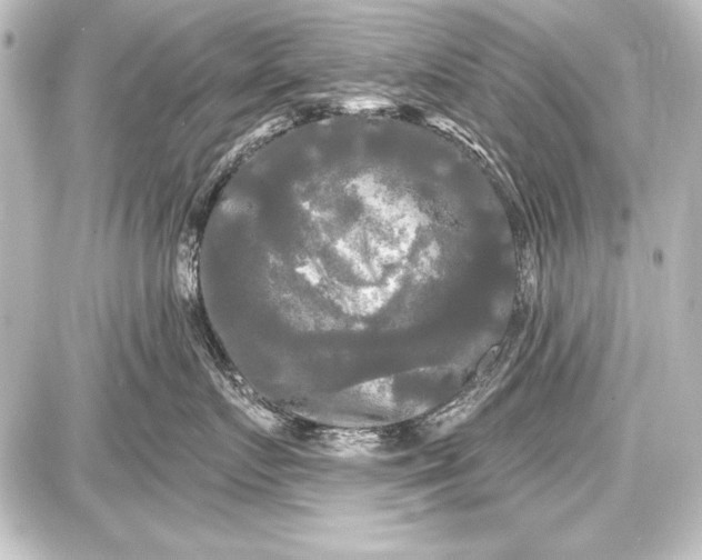 X0000087630719200705181500