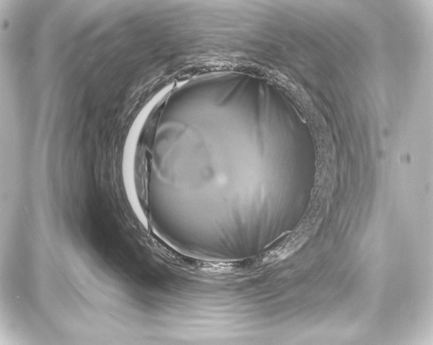 X0000087630720200705181500