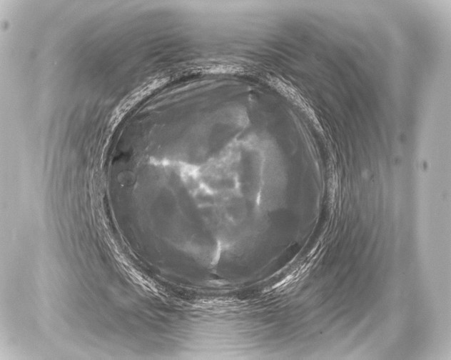 X0000087630721200705181459