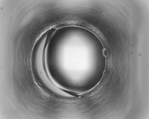 X0000087630722200705181459