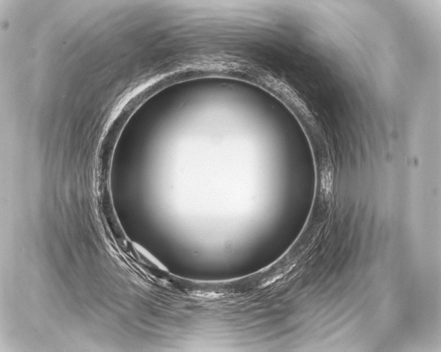 X0000087630724200705181459