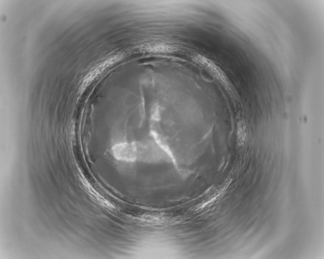 X0000087630725200705181459