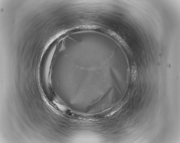 X0000087630726200705181500