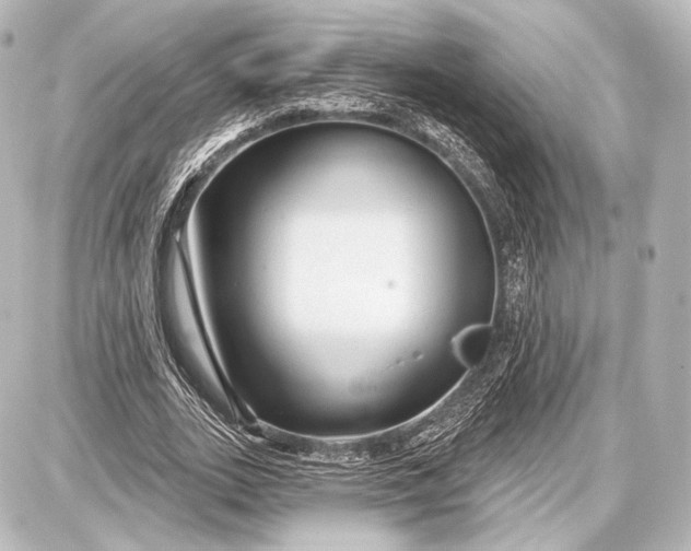 X0000087630727200705181500