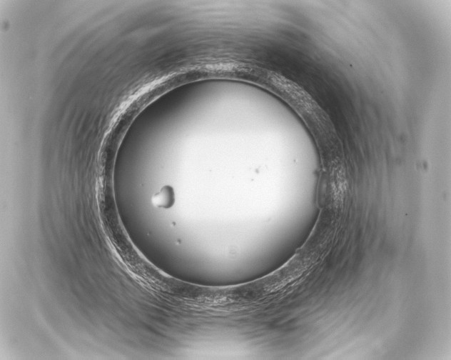 X0000087630728200705181500