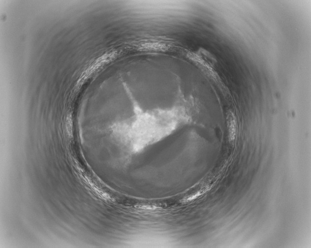 X0000087630729200705181500