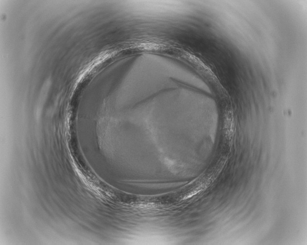 X0000087630730200705181500