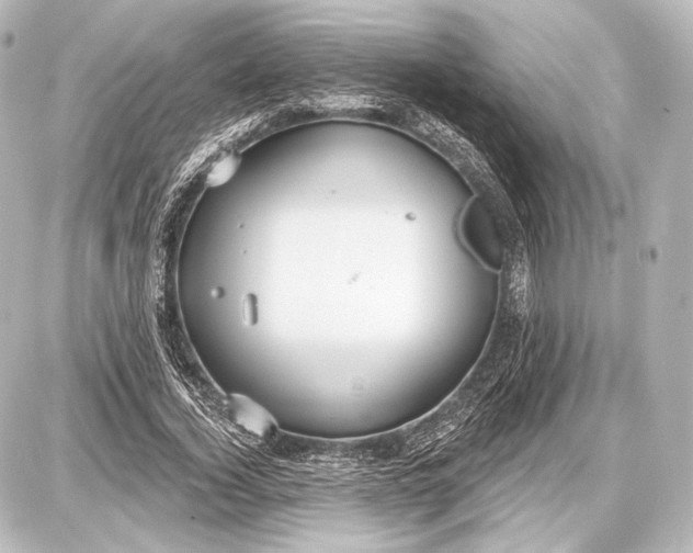 X0000087630732200705181500