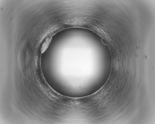 X0000087630735200705181500