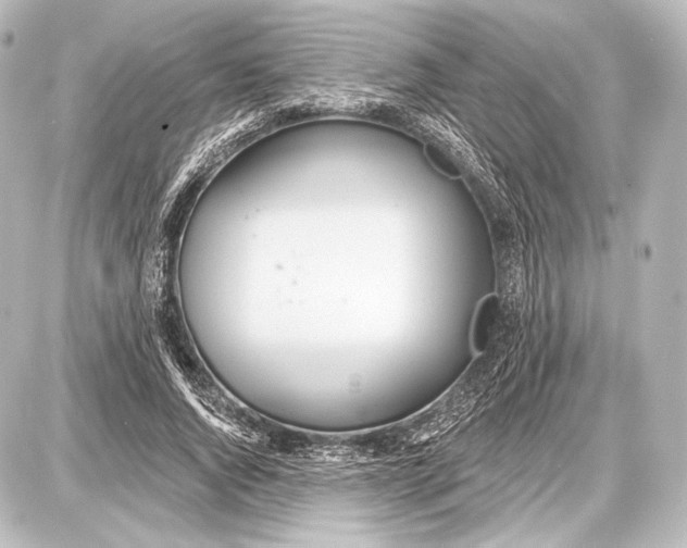 X0000087630736200705181500