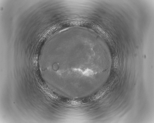 X0000087630737200705181500