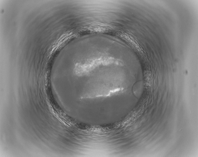 X0000087630738200705181500