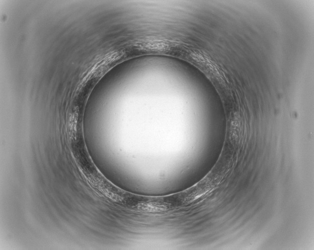 X0000087630739200705181500