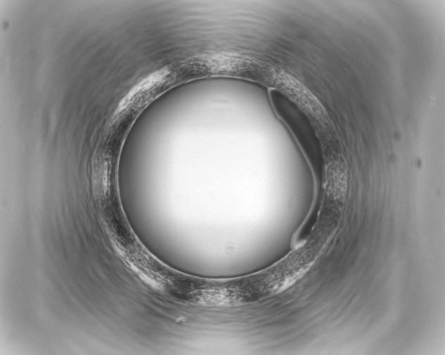 X0000087630740200705181500