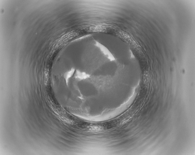 X0000087630741200705181500