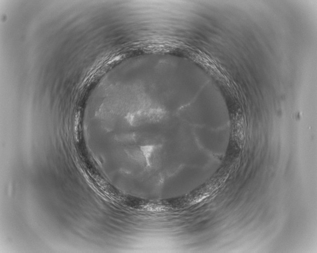 X0000087630742200705181500