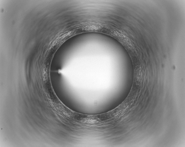 X0000087630743200705181500