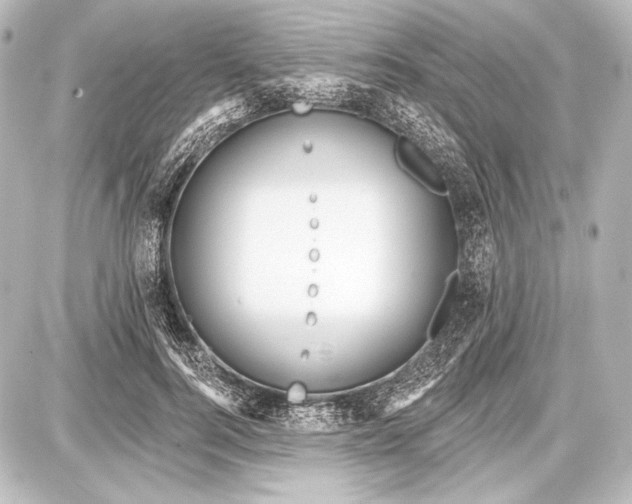 X0000087630744200705181500