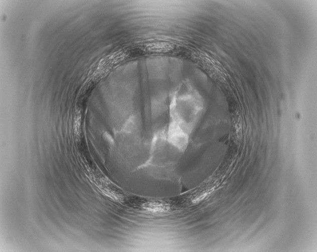 X0000087630745200705181500