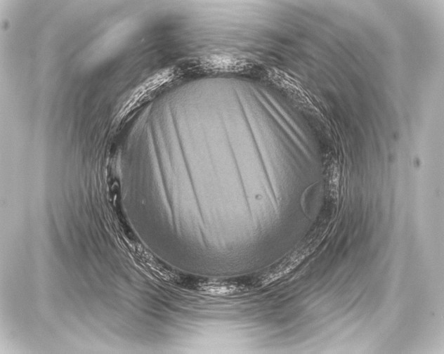 X0000087630746200705181500