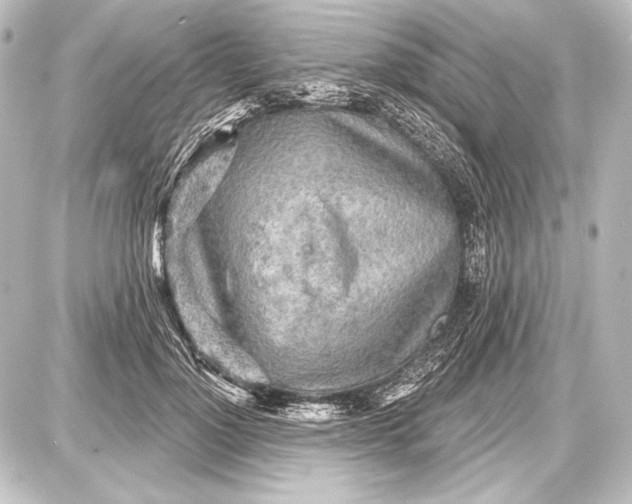 X0000087630748200705181500