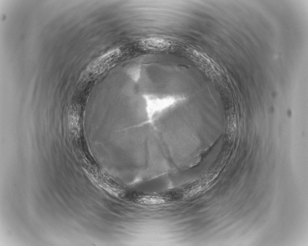 X0000087630749200705181500