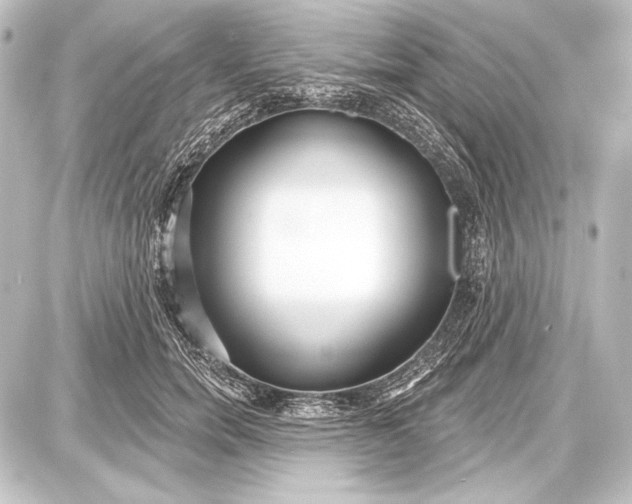 X0000087630750200705181500