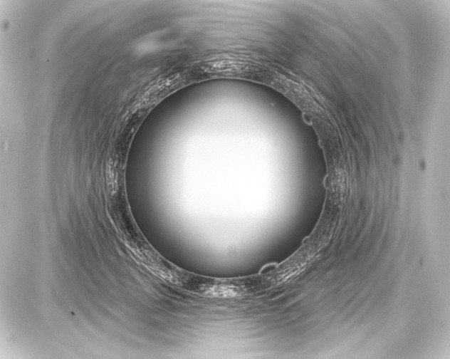 X0000087630751200705181500