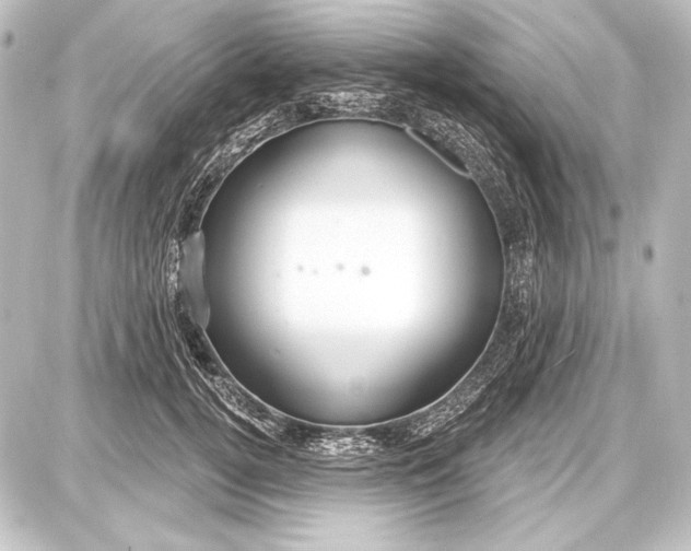 X0000087630752200705181500