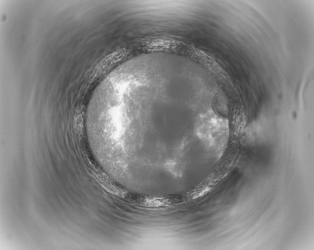 X0000087630753200705181500