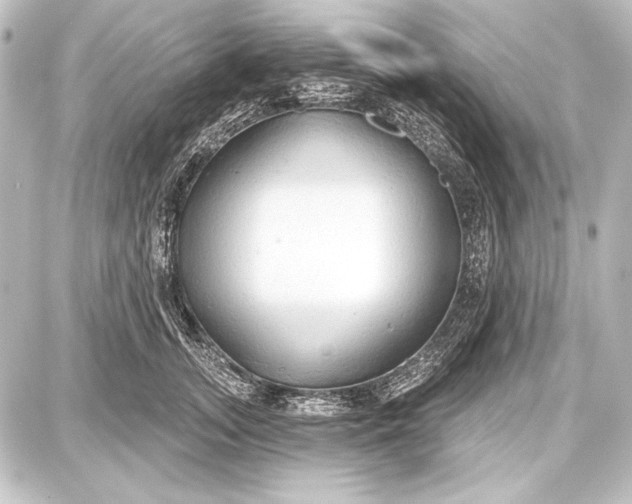 X0000087630755200705181500