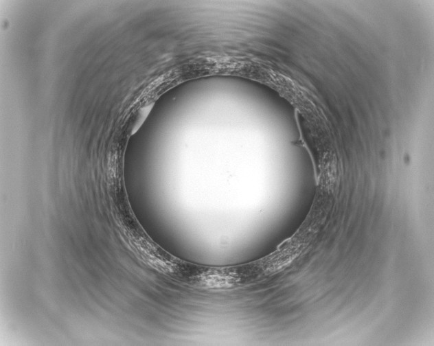 X0000087630756200705181500