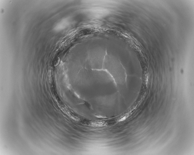 X0000087630757200705181500