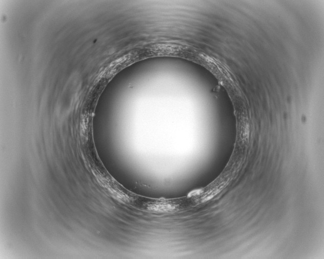 X0000087630759200705181500