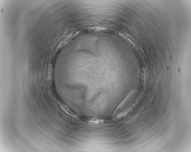 X0000087630760200705181500