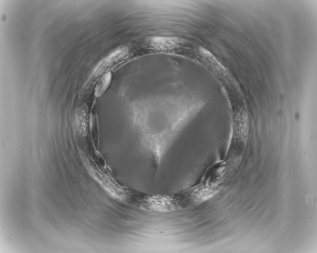 X0000087630762200705181500