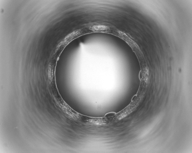 X0000087630763200705181500