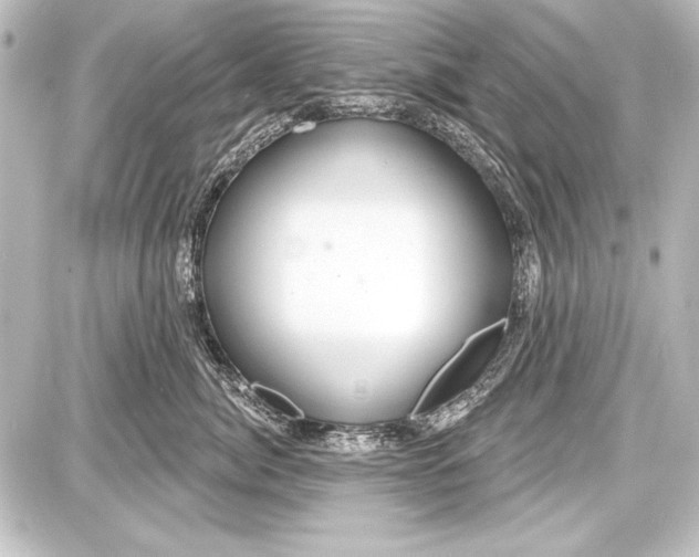 X0000087630764200705181500