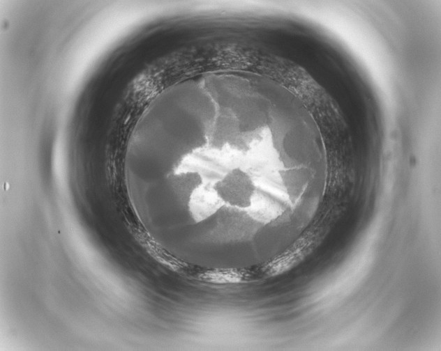 X0000087630765200705181500