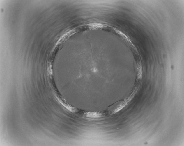 X0000087630766200705181500