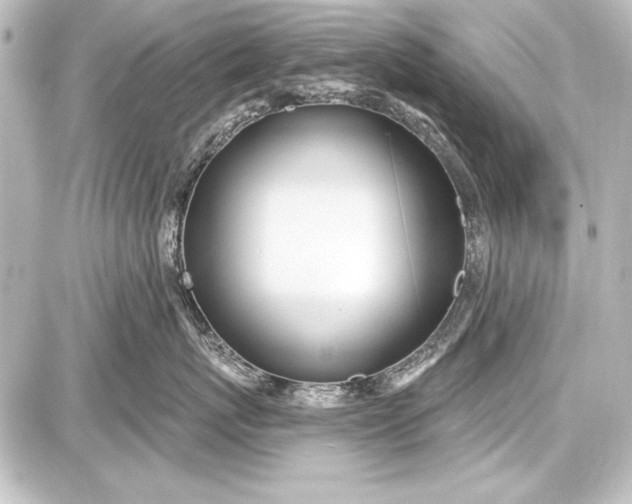 X0000087630767200705181500