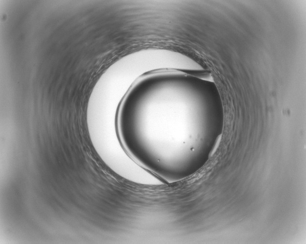 X0000087630768200705181500