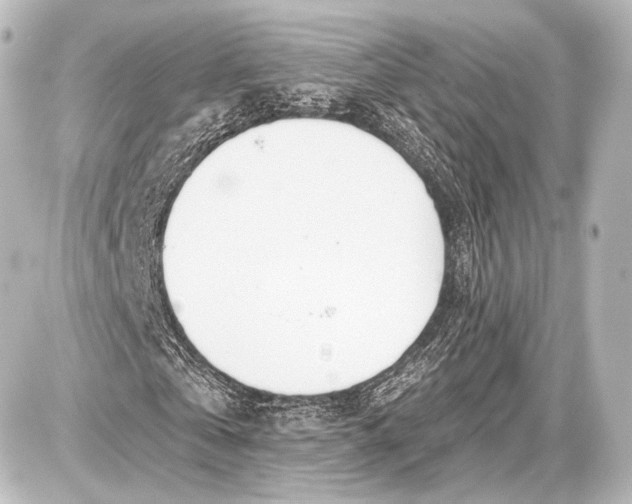 X0000087630769200705181459