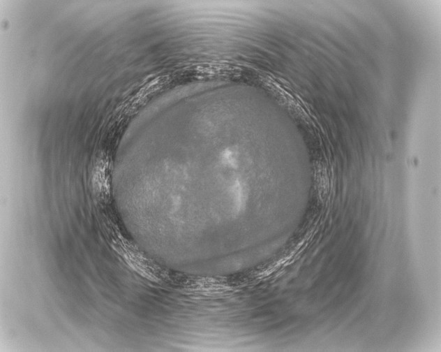 X0000087630770200705181459